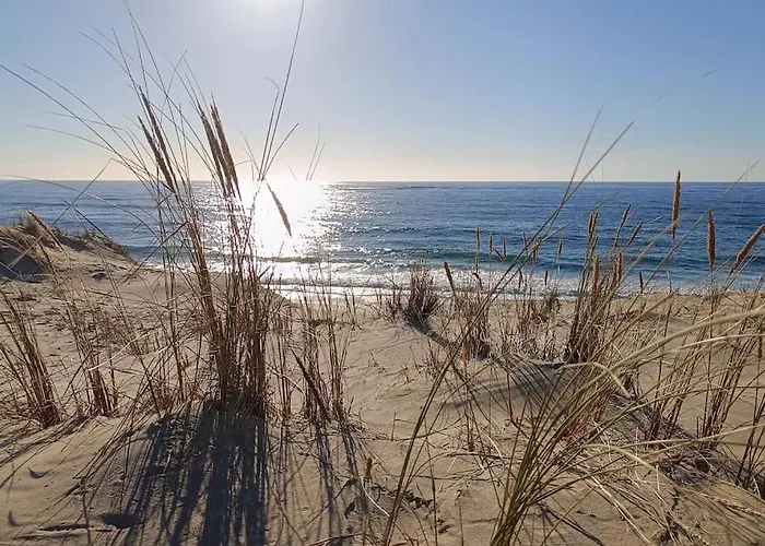 La Baie Du Biscarrosse