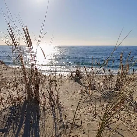 La Baie Du Biscarrosse